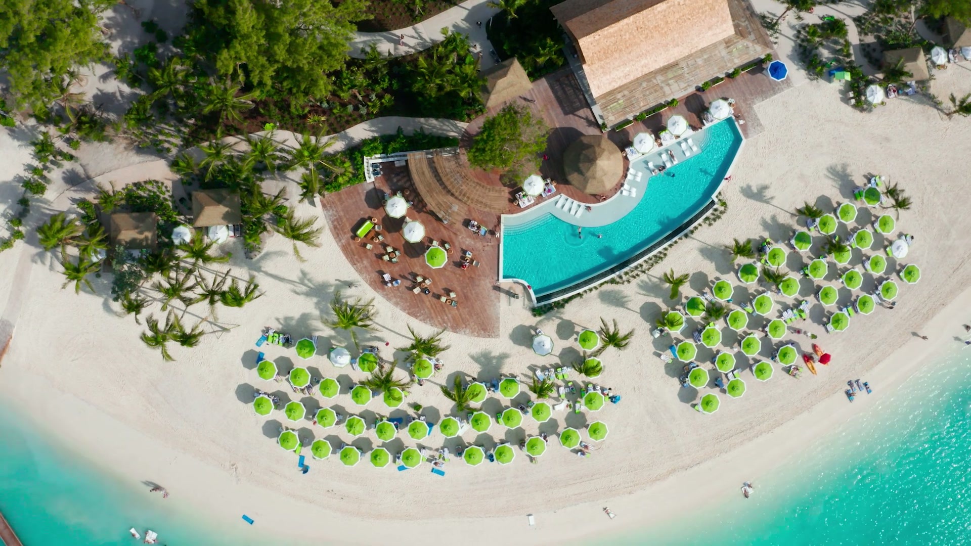 Aerial view of Royal Caribbean's Oasis of the Seas at a tropical island destination